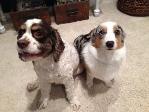 molly and cooper - Molly and Cooper