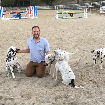 David w Paradise Dals 1 - Helping a Rescued Dalmatian Get Over Her Dog Aggression