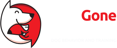 Dog Gone Problems