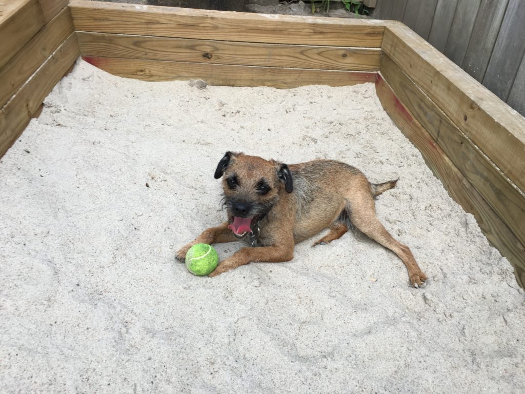 Max in the Sandbox