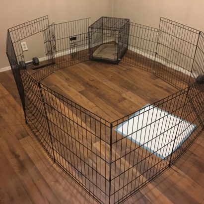 Puppy Play Pen - Setting Up a Long Term Confinement area (LTCA) / Preparing for the Puppy (Before you bring it home)