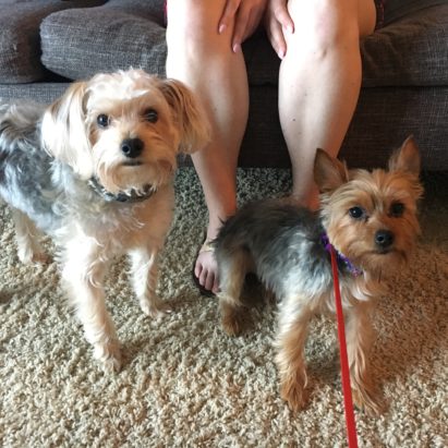 Emry and Piper - Helping a Pair of Anxious Dogs Get Over Their Fear of New People