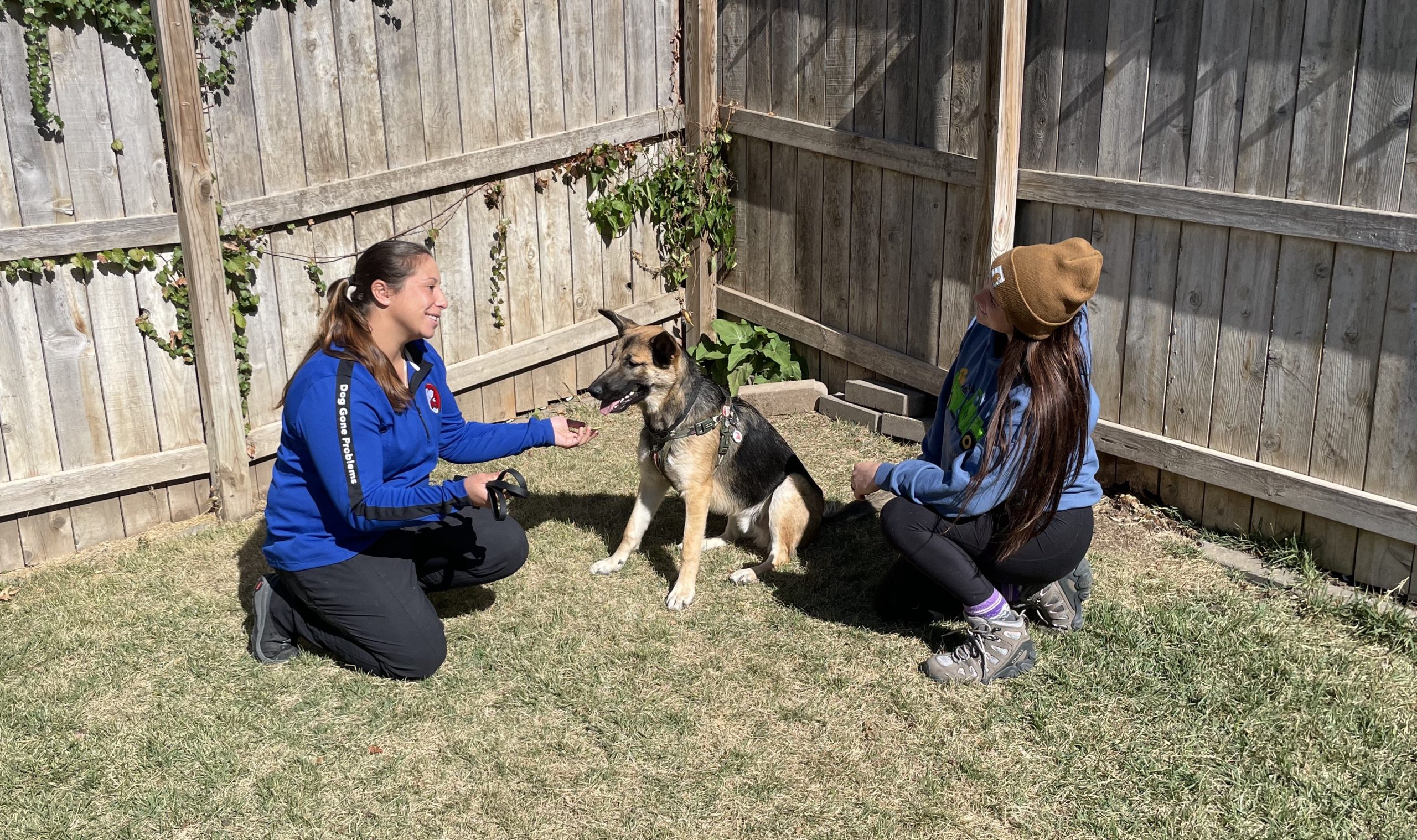Christina Zeke Addy scaled - Omaha Dog Behavior Help