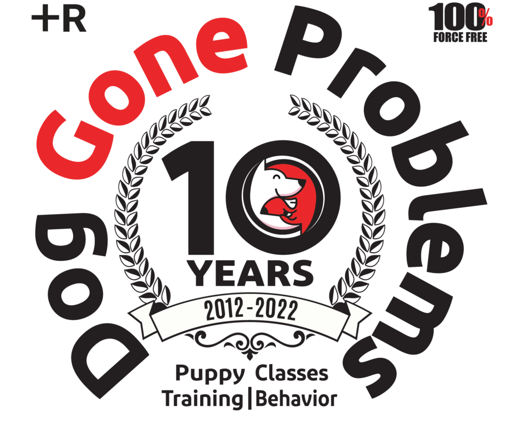 DGP 10Year transparent - Dog Gone Problems 10 Year Anniversary Celebrations