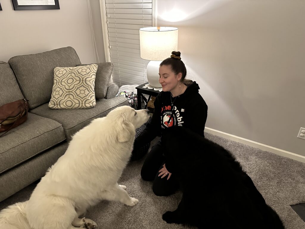Avery Sedlacek works with a Great Pyrenese